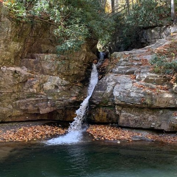 Meet your Posher, Lisa - Picture 1 of 1